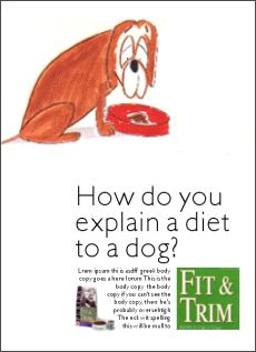 How do you explain a diet to a dog?